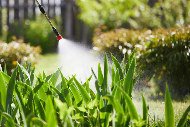 24/7 Emergency Mosquito Control experts in Crosby, MN